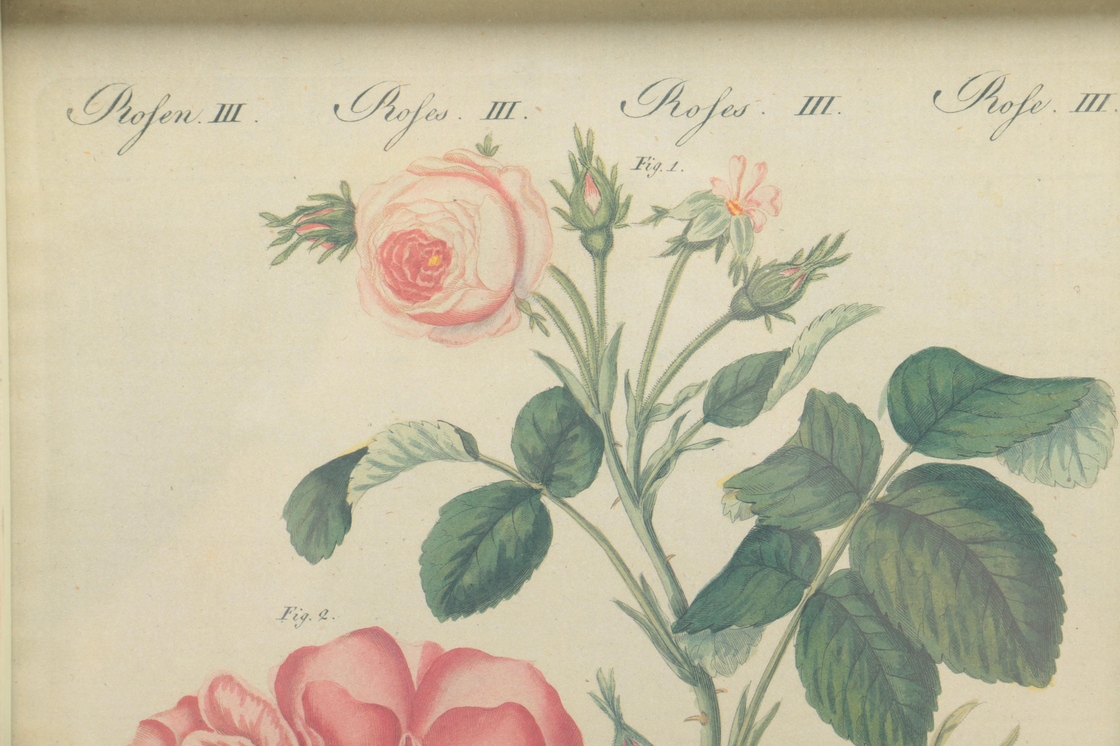 After F. J. Bertuch Offset Lithograph Print "Porte-Feuille des Enfants"