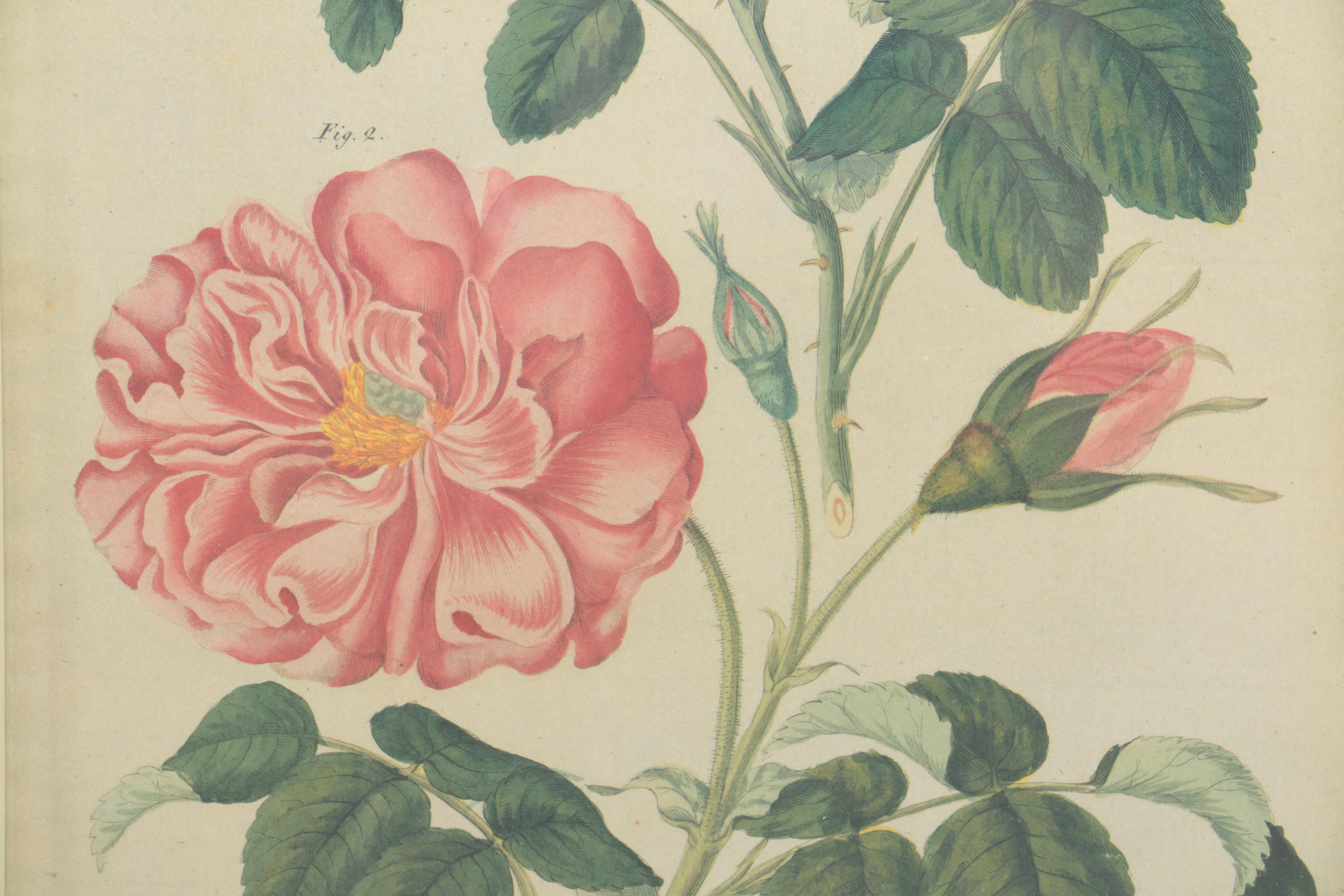 After F. J. Bertuch Offset Lithograph Print "Porte-Feuille des Enfants"