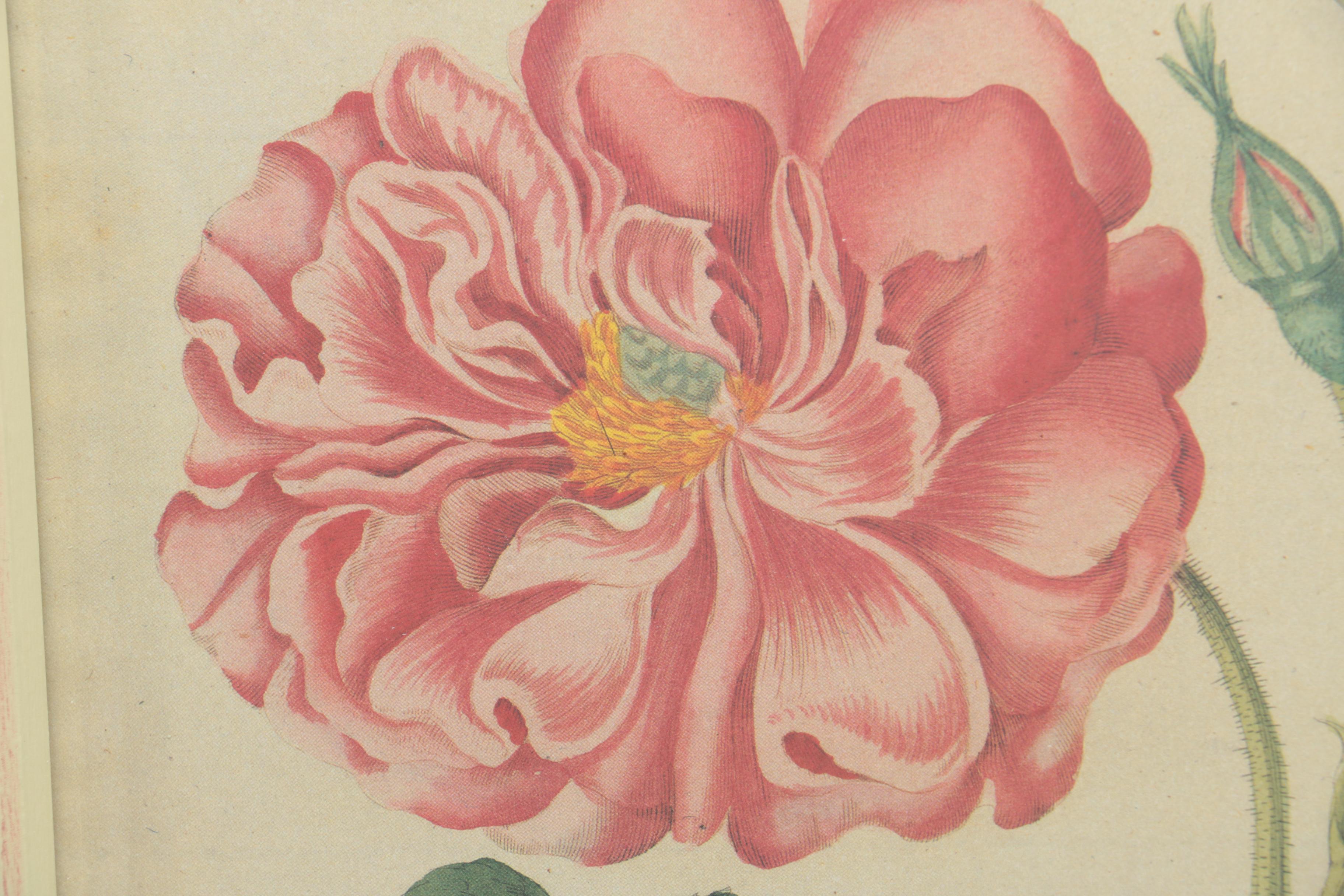 After F. J. Bertuch Offset Lithograph Print "Porte-Feuille des Enfants"