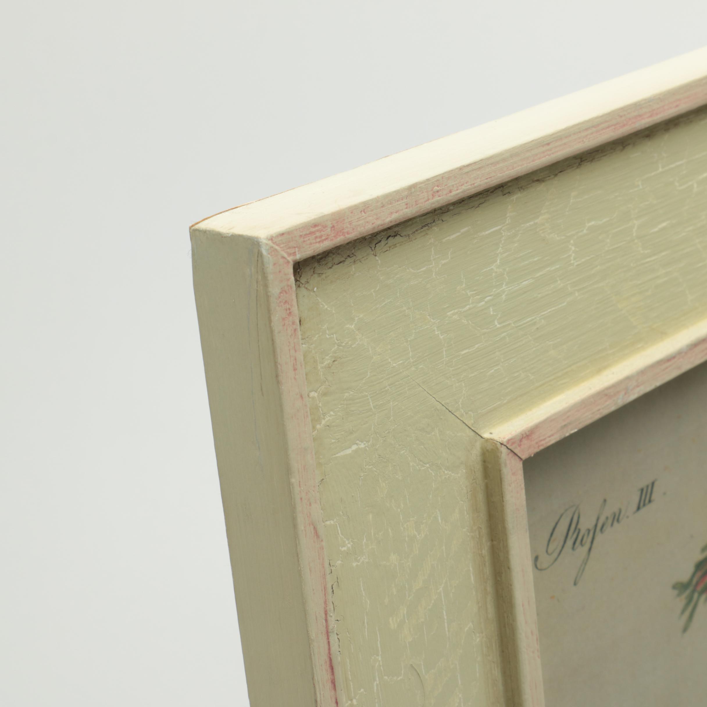 After F. J. Bertuch Offset Lithograph Print "Porte-Feuille des Enfants"