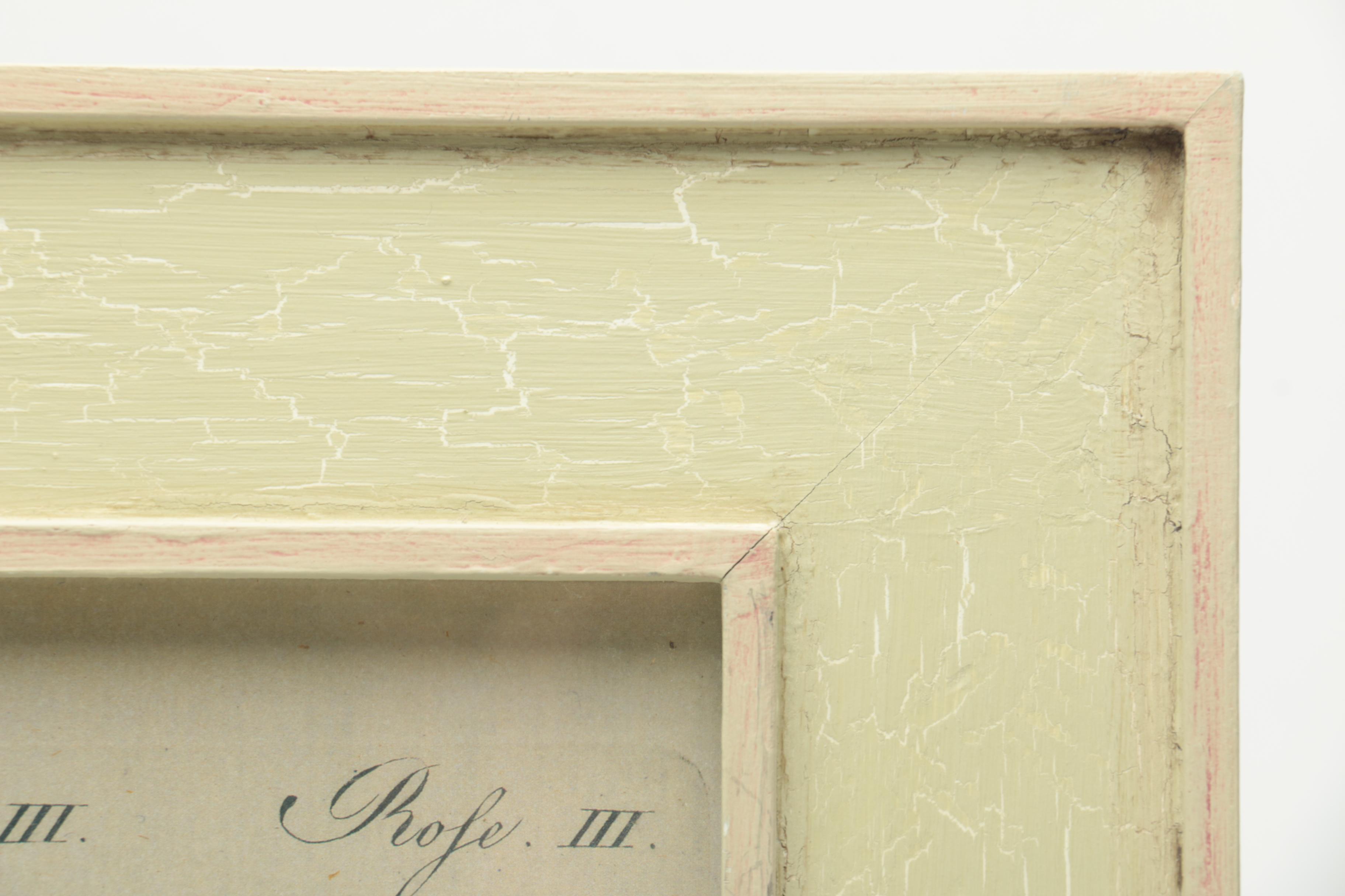 After F. J. Bertuch Offset Lithograph Print "Porte-Feuille des Enfants"