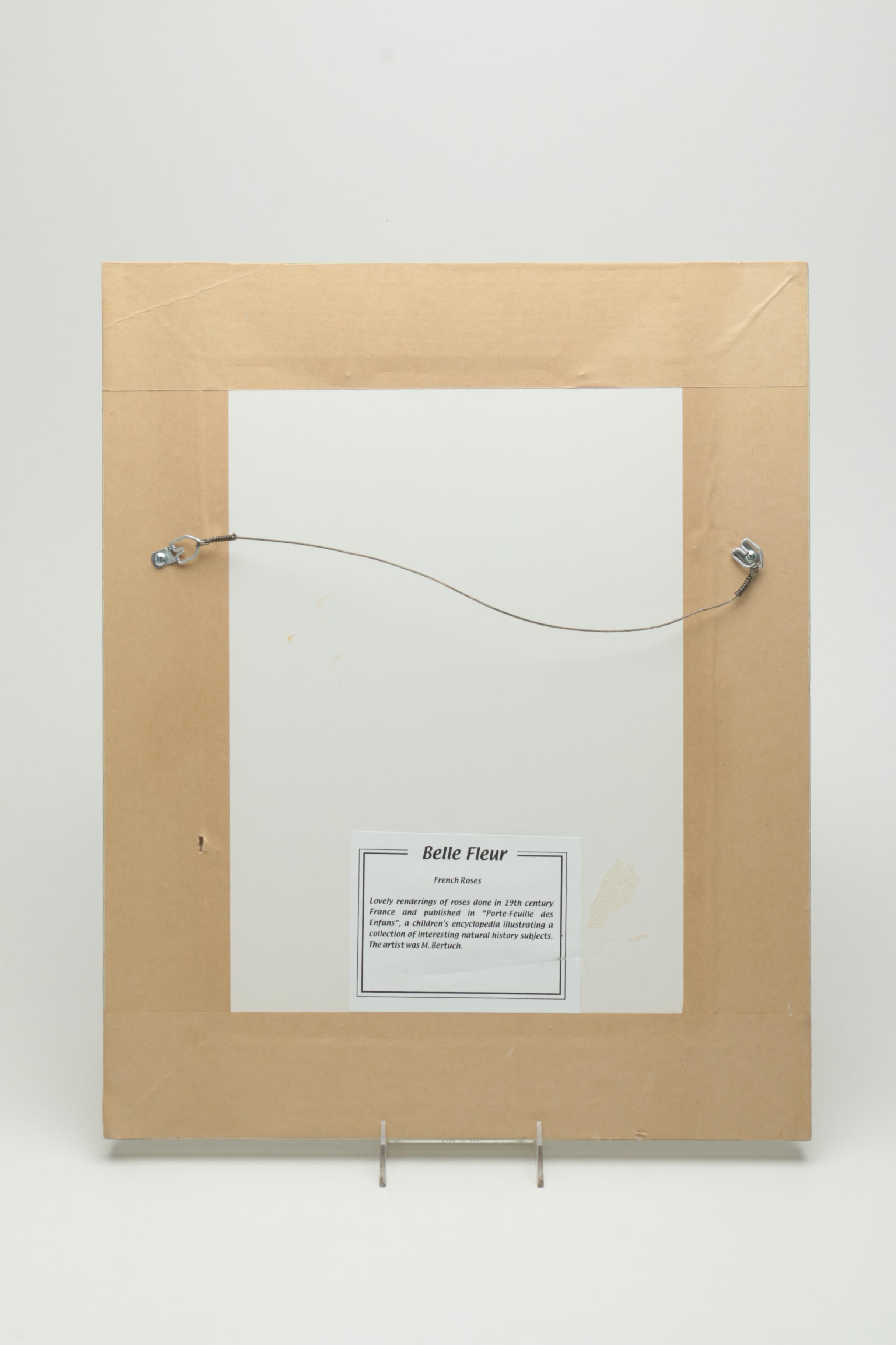 After F. J. Bertuch Offset Lithograph Print "Porte-Feuille des Enfants"