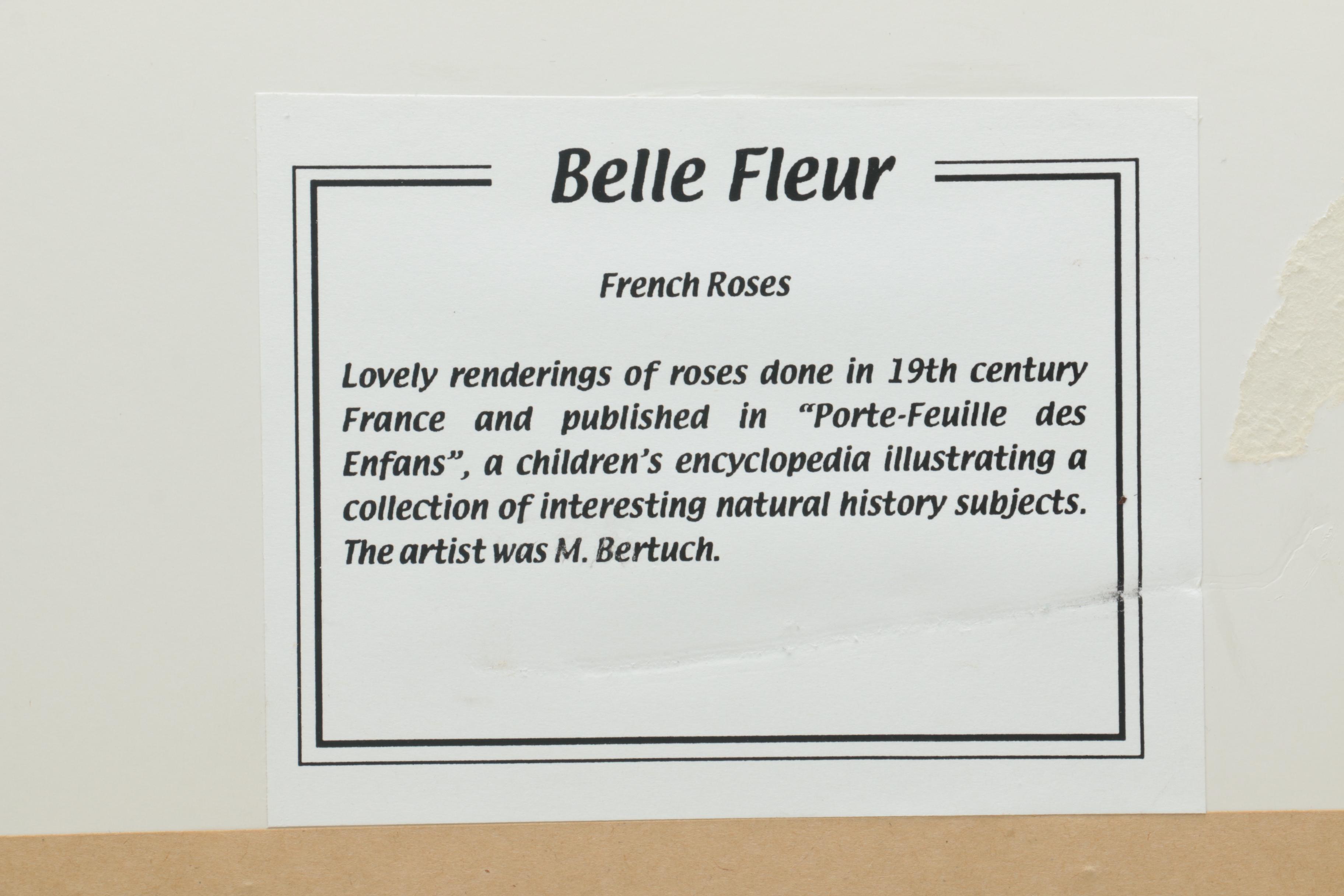 After F. J. Bertuch Offset Lithograph Print "Porte-Feuille des Enfants"