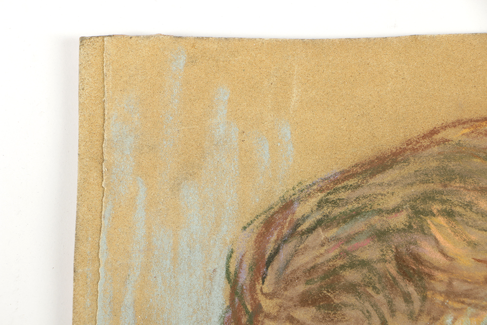 Emily B. Waite Pastel Drawing on Sand Pastel Paper