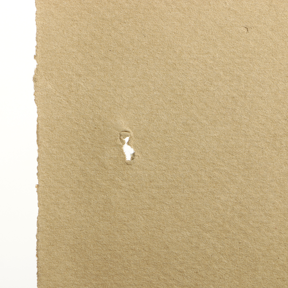 Emily B. Waite Pastel Drawing on Paper Portrait of a Woman