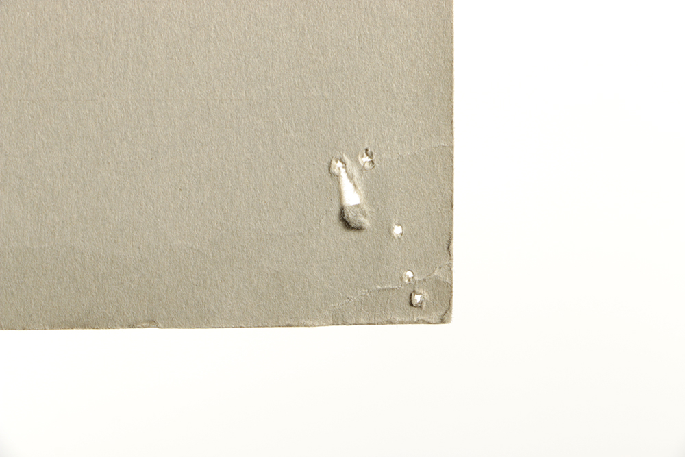 Emily B. Waite Graphite Drawing of the Skeletal System