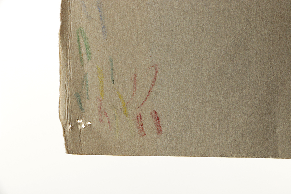 Emily B. Waite Graphite Drawing of the Skeletal System