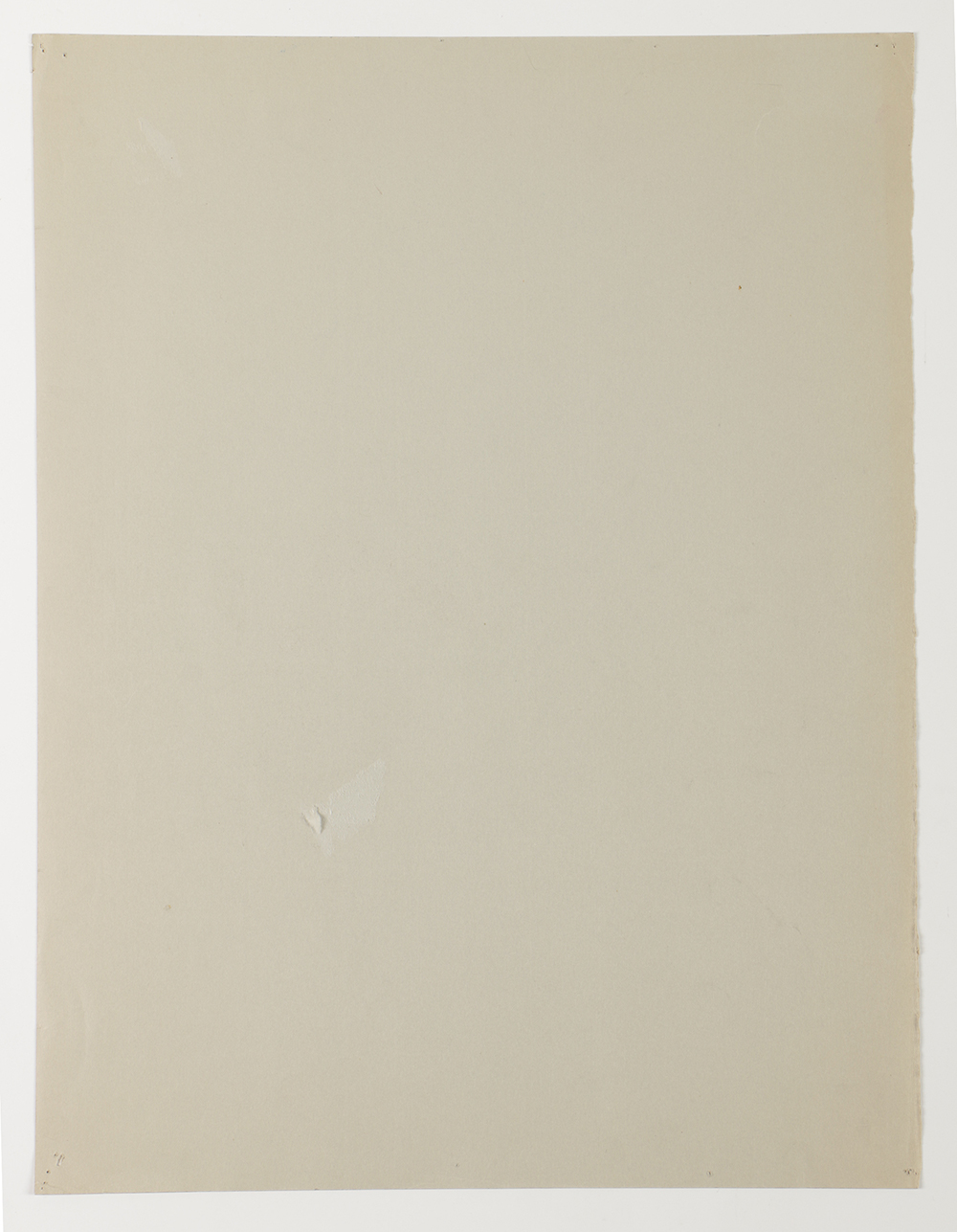 Emily B. Waite Graphite Drawing of the Skeletal System