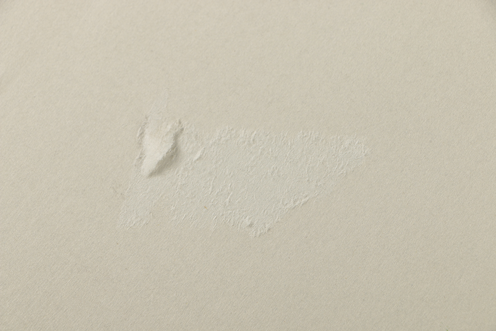 Emily B. Waite Graphite Drawing of the Skeletal System