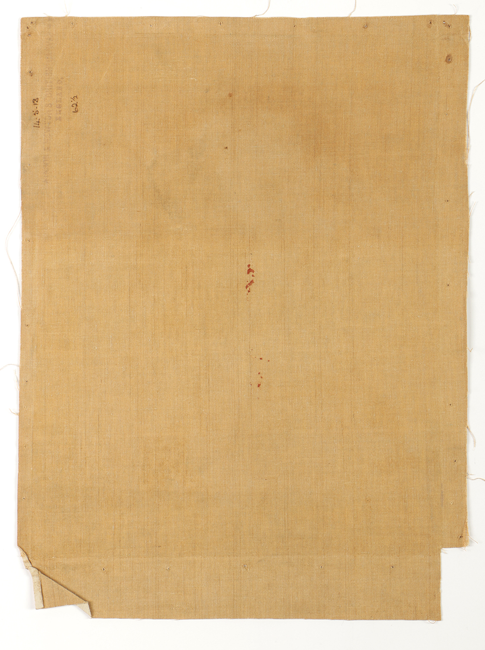 Emily B. Waite Oil Painting on Unstretched Canvas Portrait of a Woman