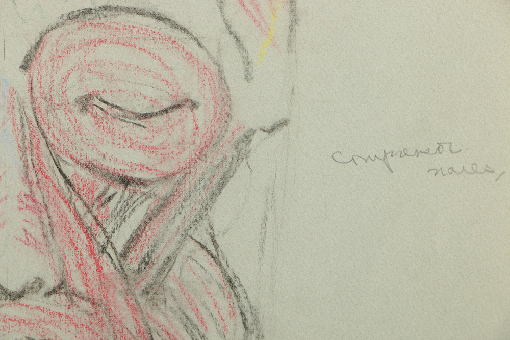 Emily Waite Double Sided Colored Charcoal Drawing Anatomical Study