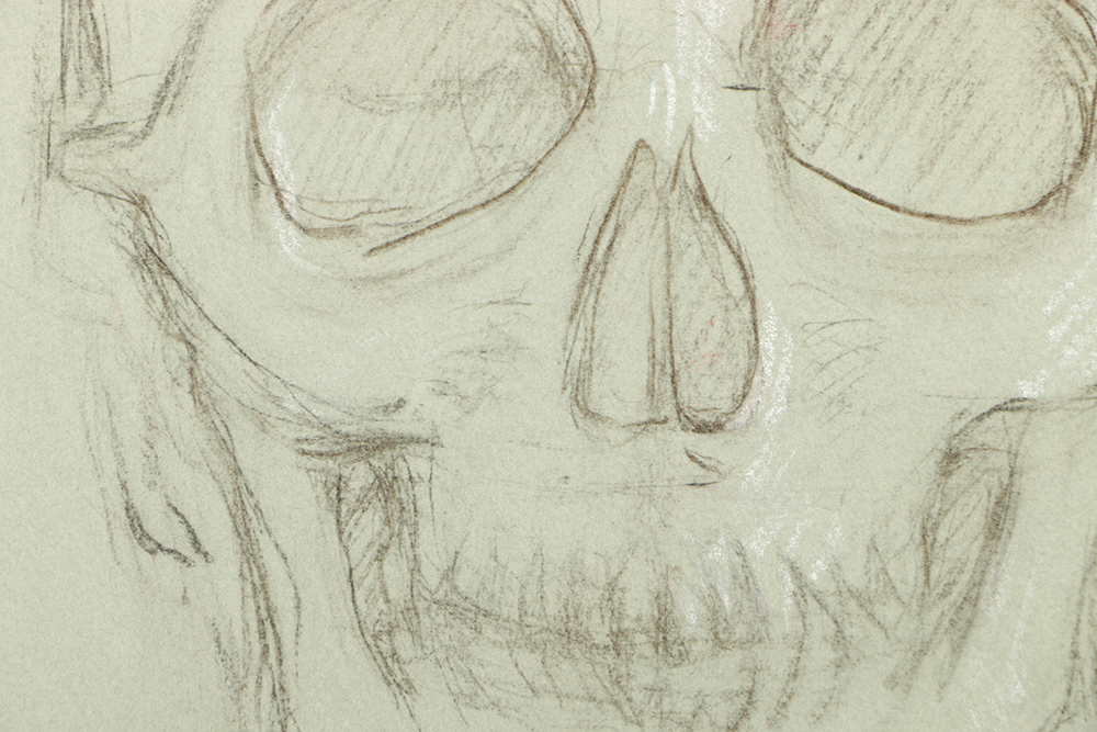 Emily Waite Double Sided Colored Charcoal Drawing Anatomical Study