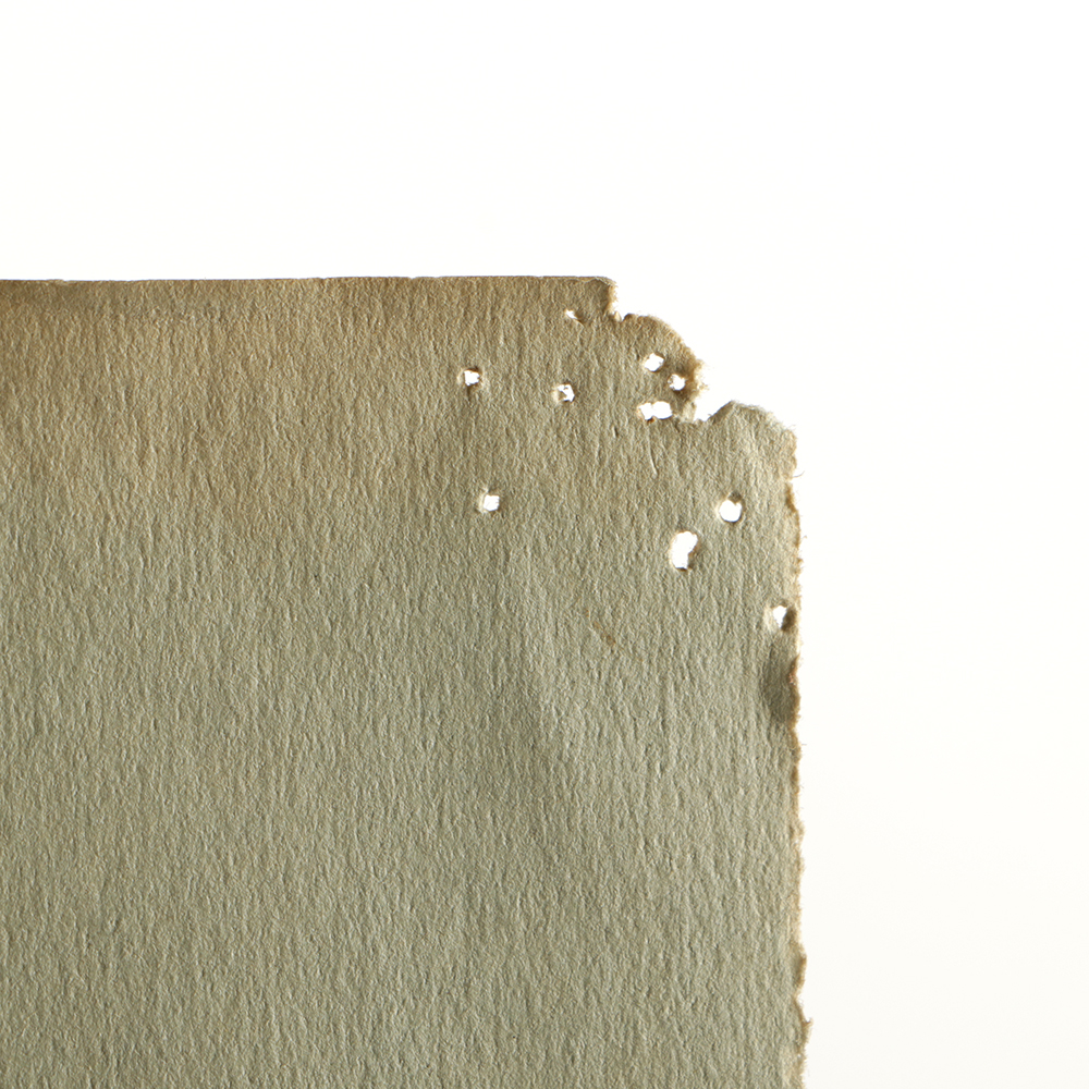 Emily Waite Double Sided Colored Charcoal Drawing Anatomical Study