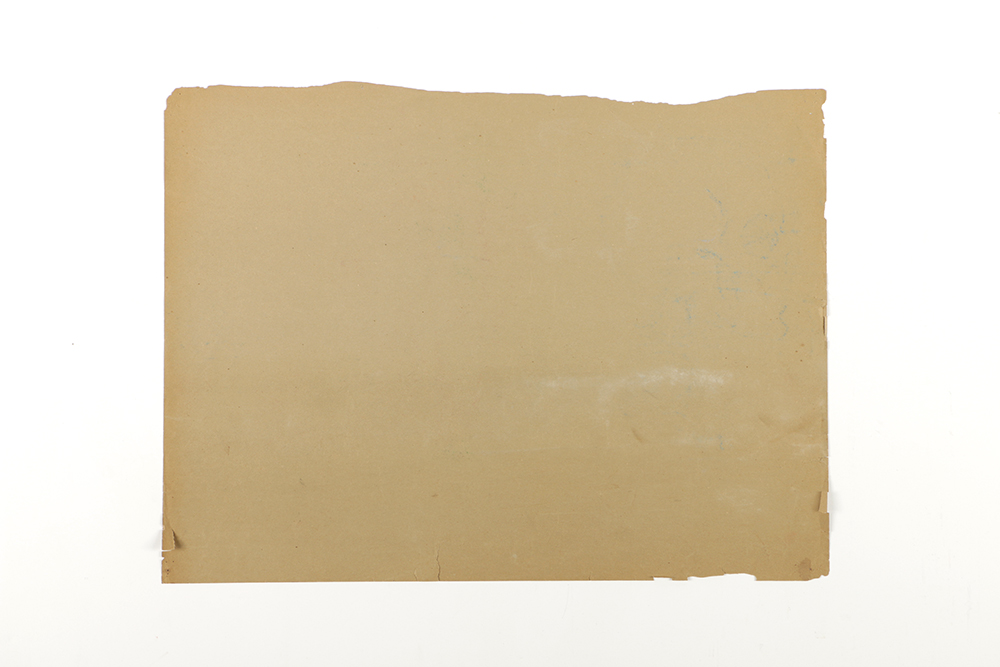 Emily Waite Colored Charcoal Drawing Facial Anatomical Study