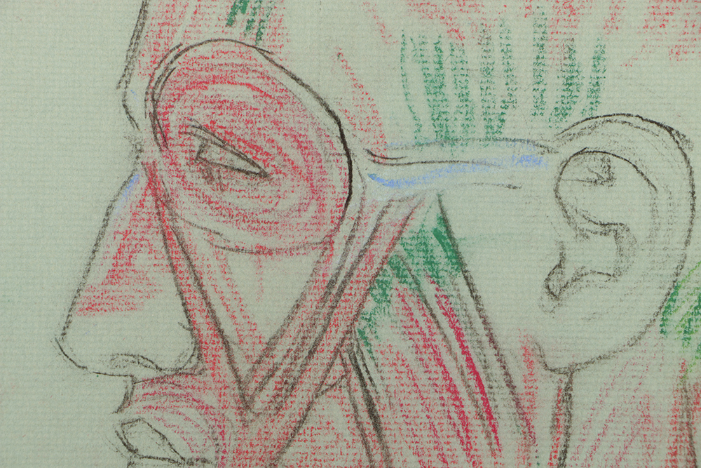 Emily B. Waite Colored Charcoal Drawing Anatomical Study