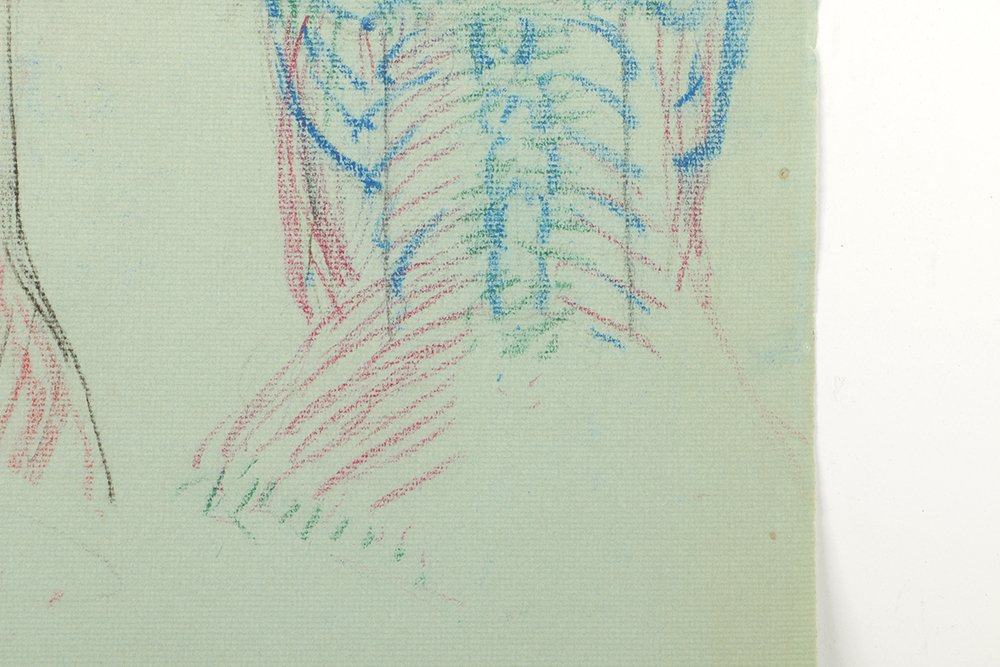 Emily B. Waite Colored Charcoal Drawing Anatomical Study