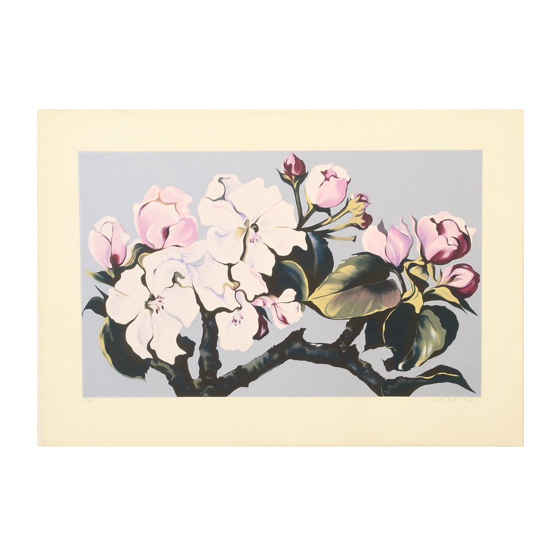 Lowell Nesbitt 1980 Signed Limited Edition Serigraph "Apple Blossom"