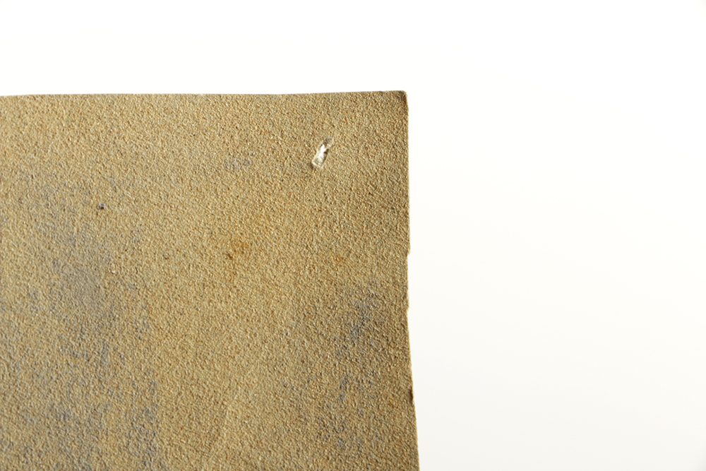 Emily B. Waite Chalk Pastel Portrait on Paper of Woman