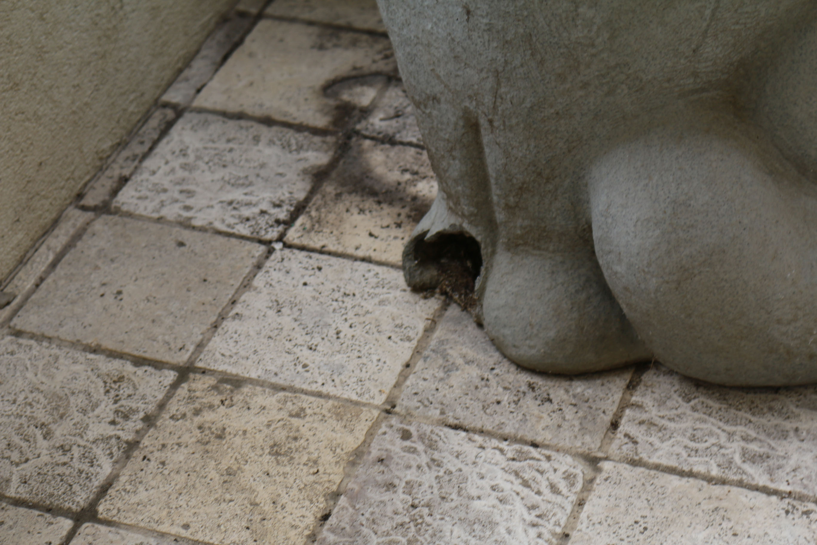 Paolo Grasso Cat Sculpture