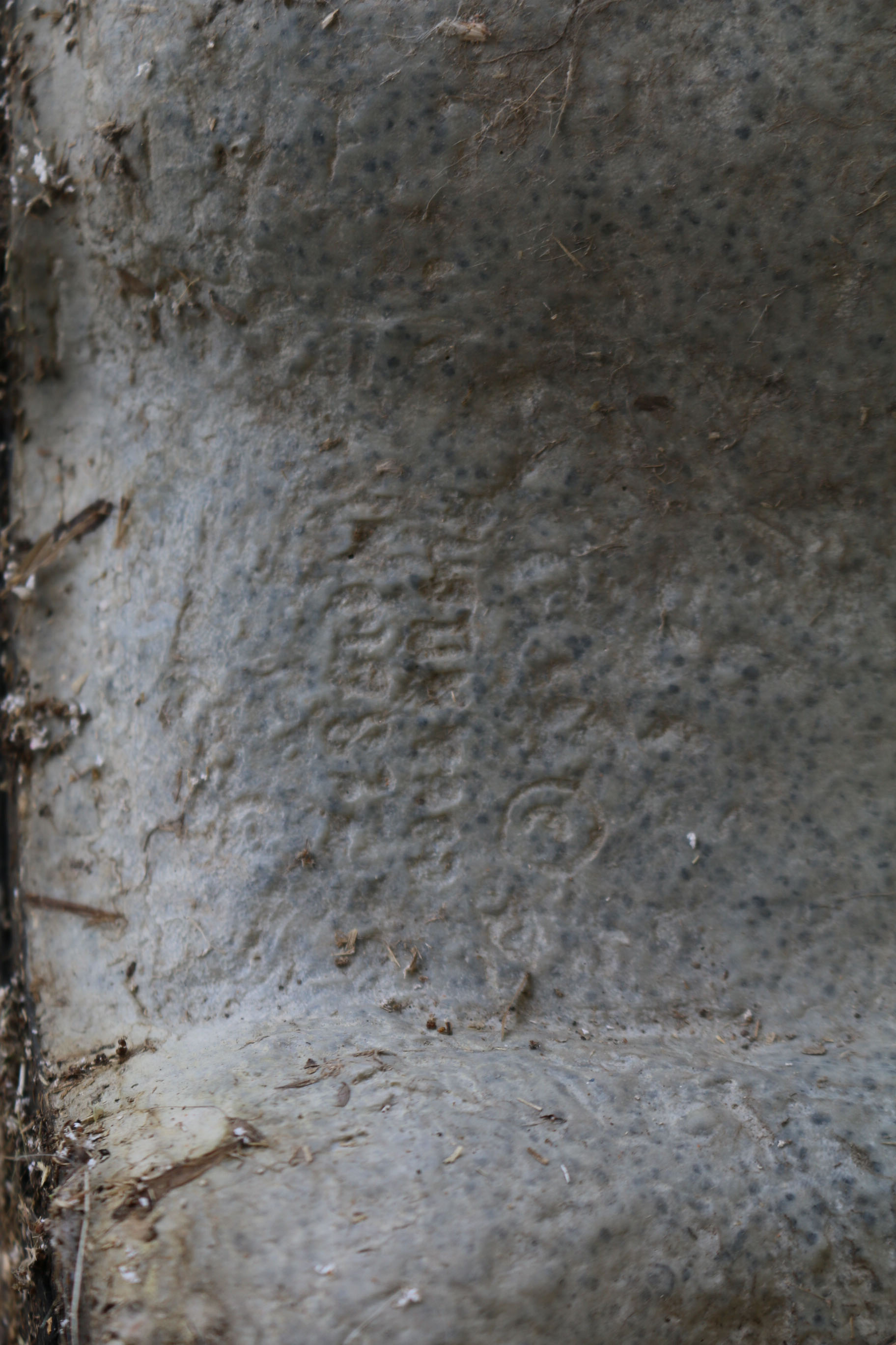 Paolo Grasso Cat Sculpture