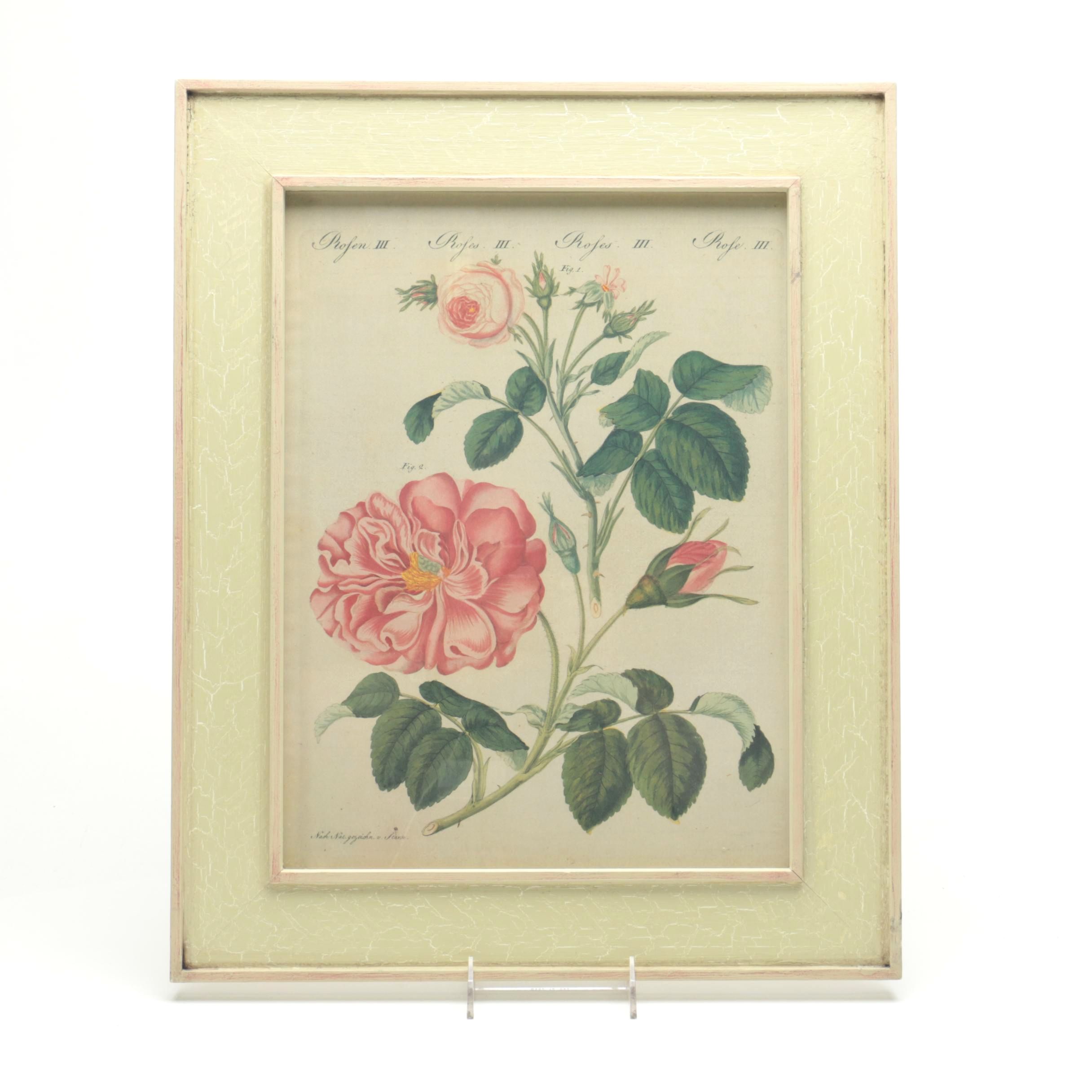 After F. J. Bertuch Offset Lithograph Print "Porte-Feuille des Enfants"