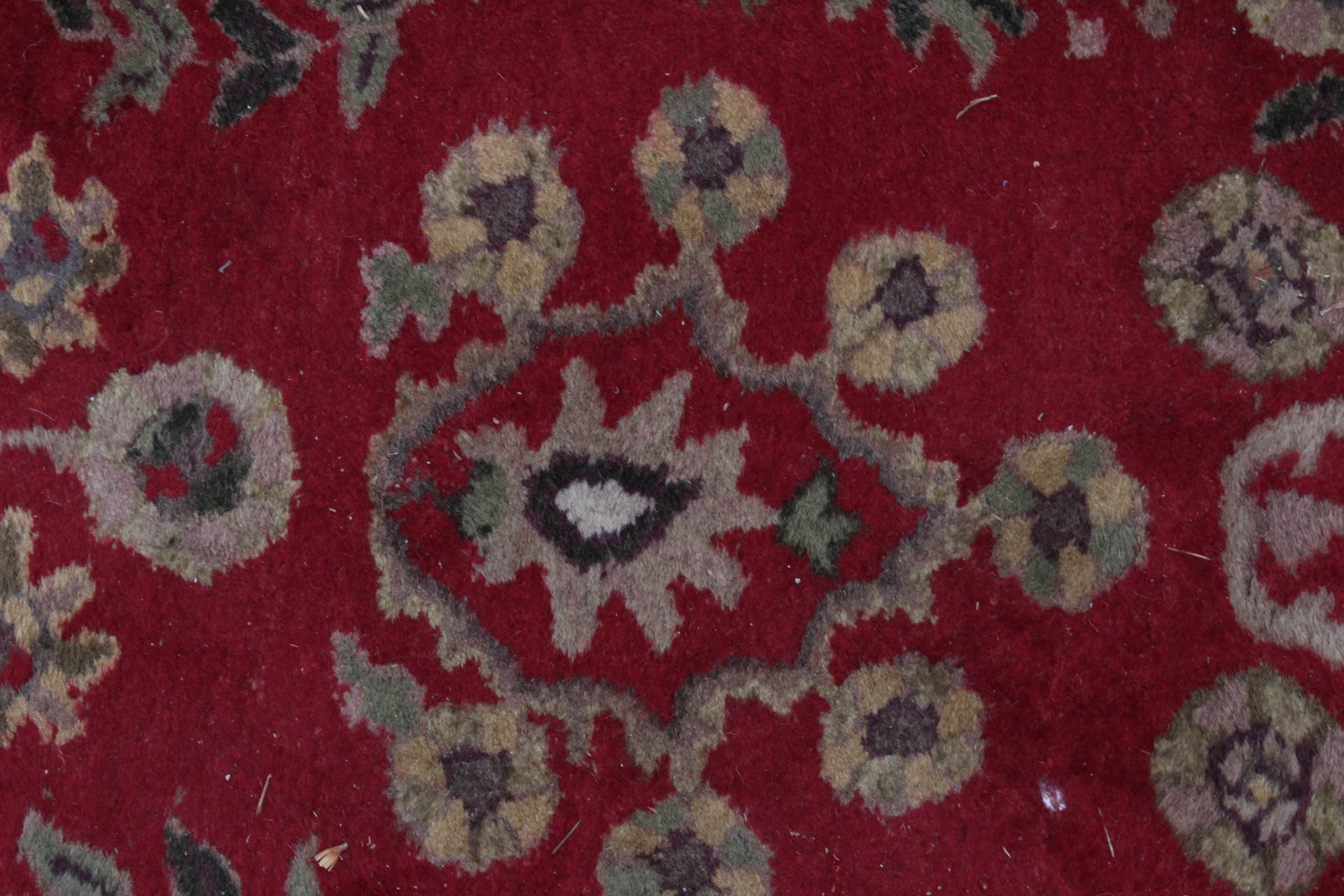 Hand Tufted Indian Carpet Runner by Home Traditions & Textiles