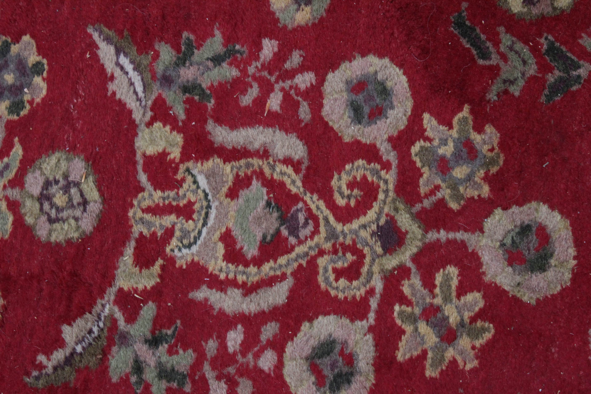 Hand Tufted Indian Carpet Runner by Home Traditions & Textiles