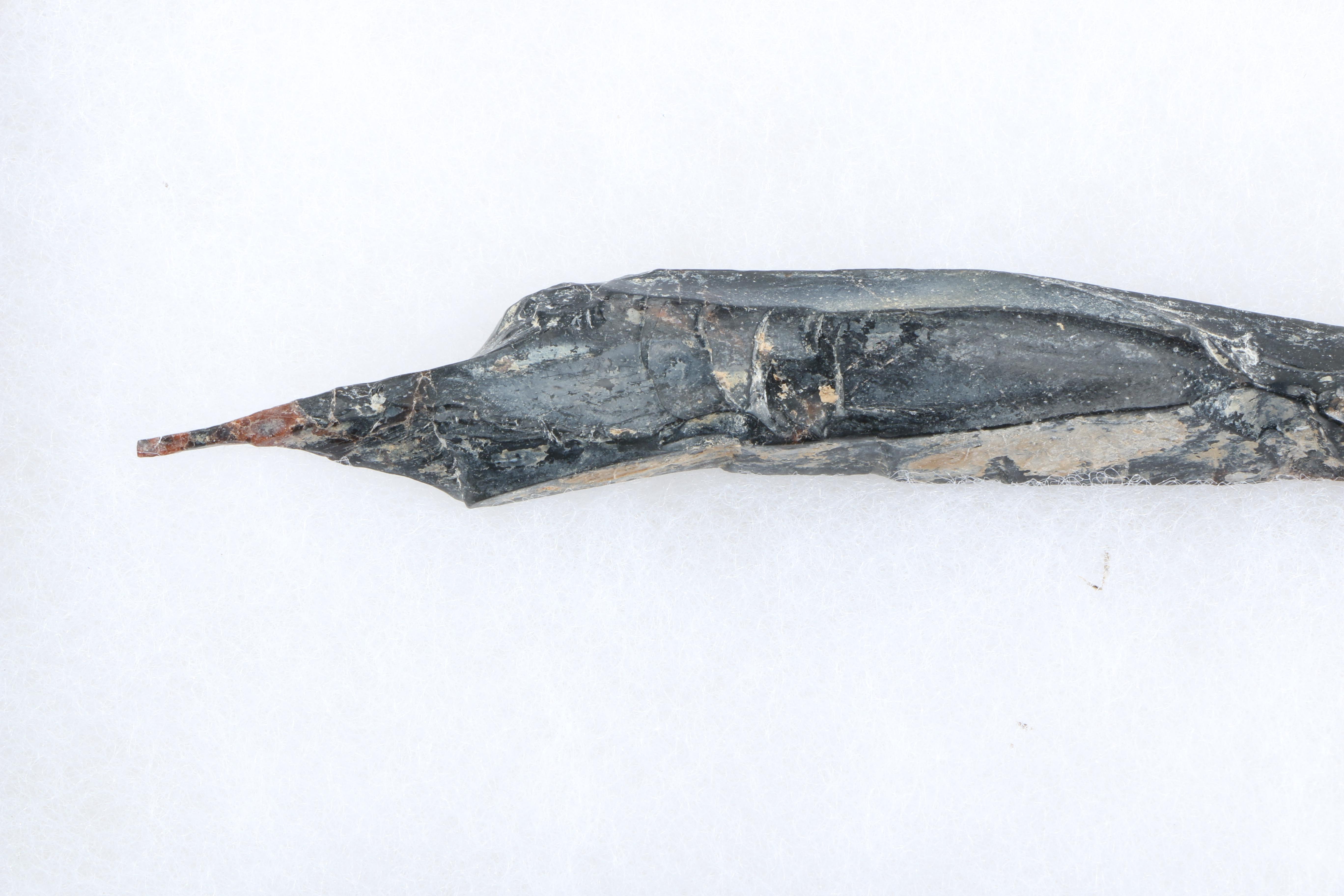 Reproduction Prehistoric Stone Instruments