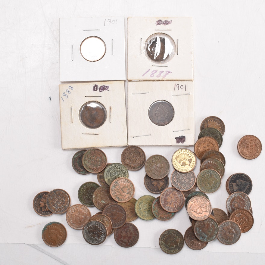 Collection of Indian Head Pennies