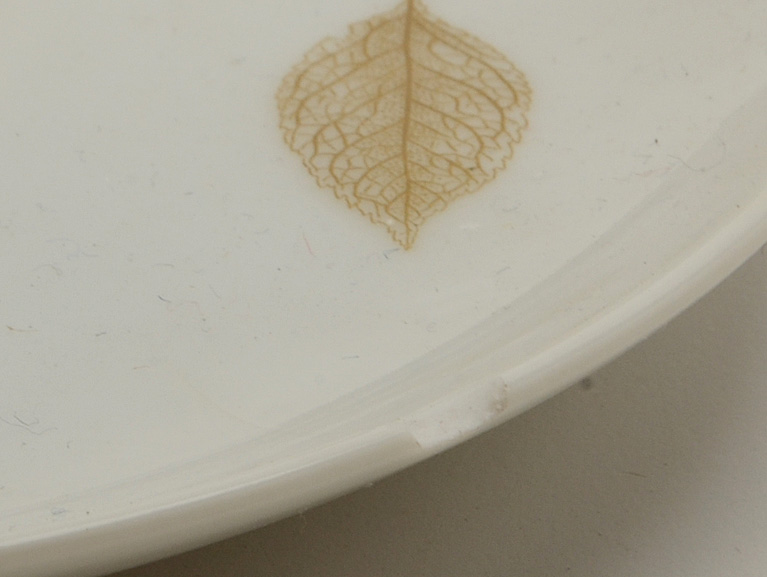 Arzberg Porcelain "Angel Leaf" Dishes