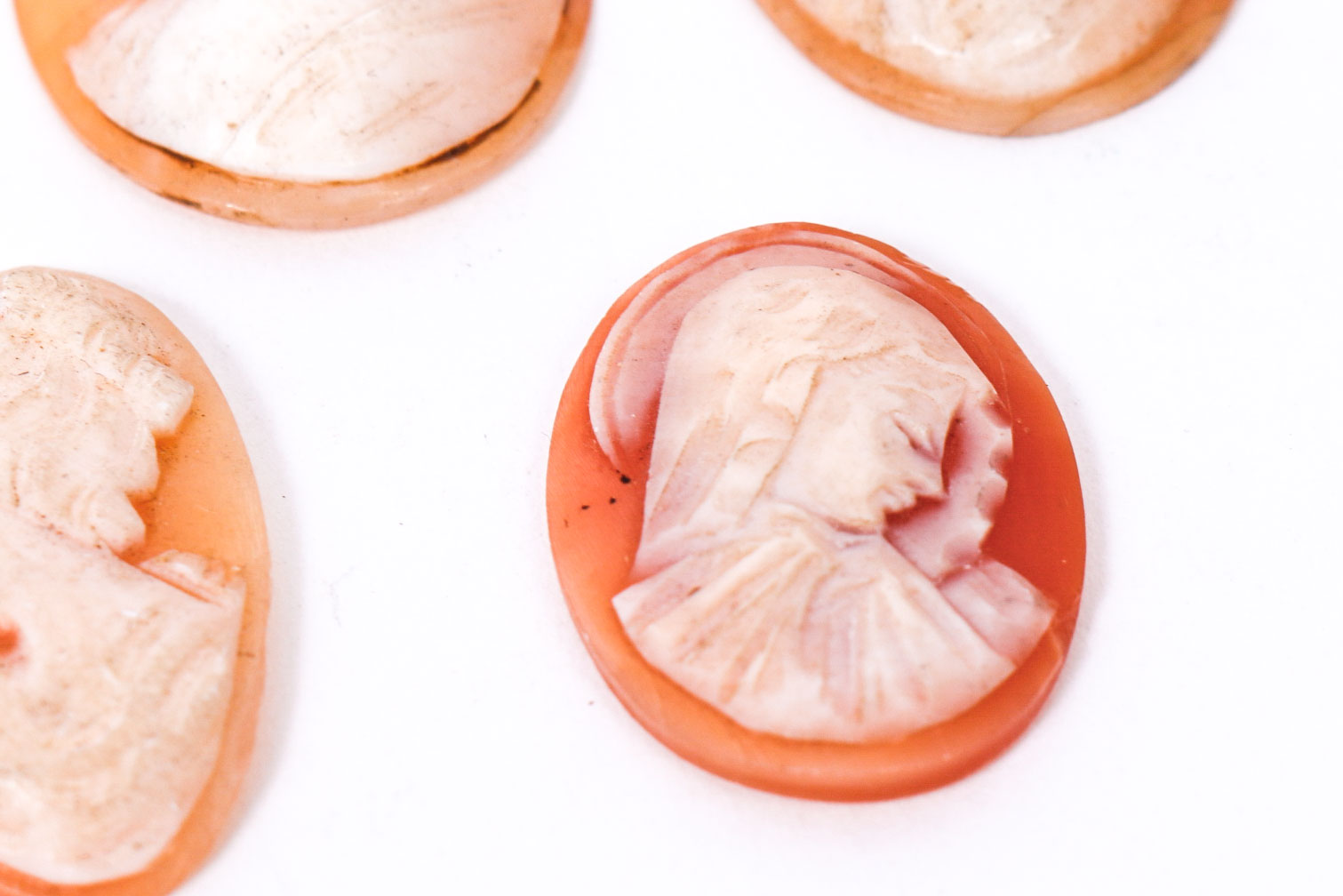 Group of Oval Shaped Shell Cameos