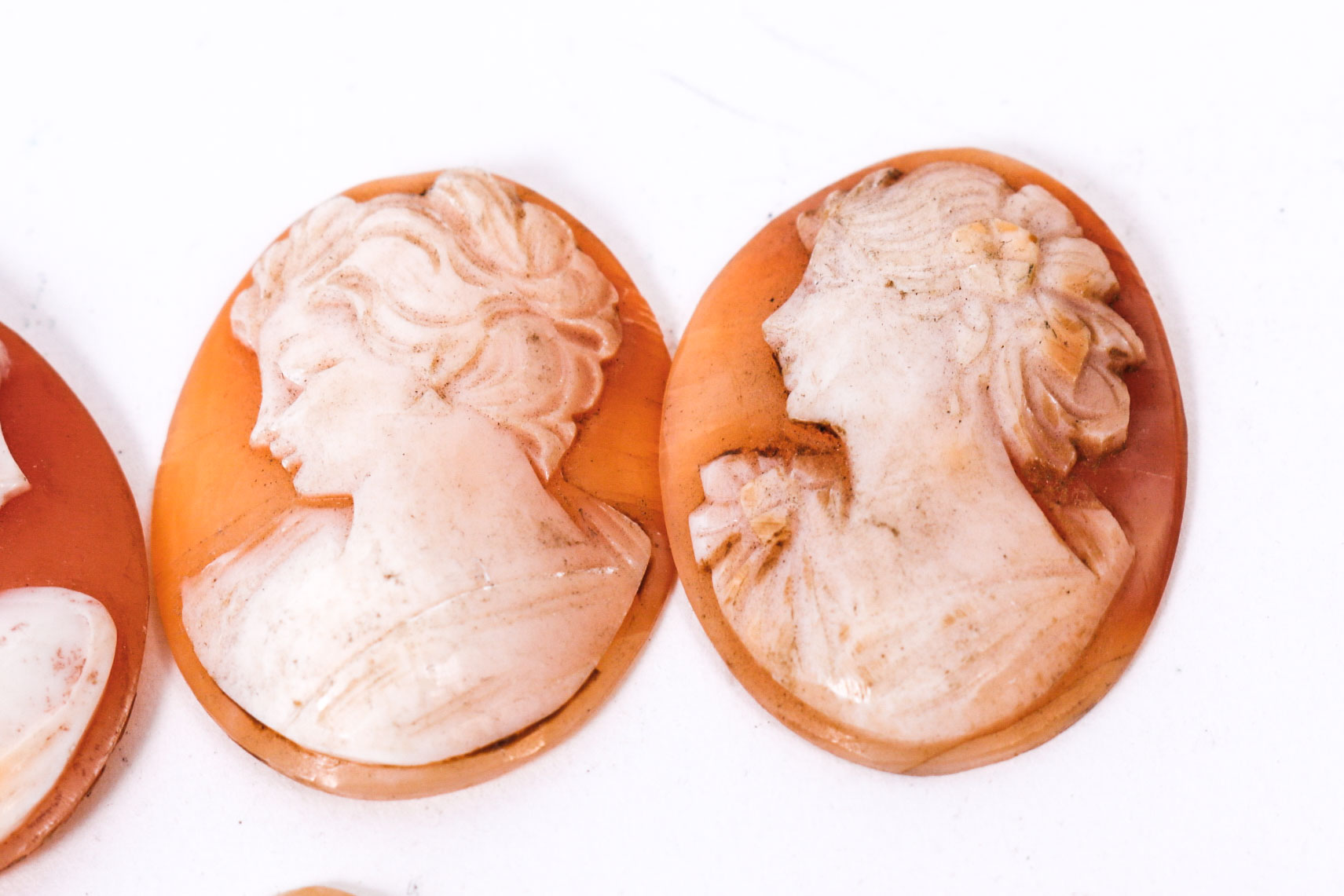 Group of Oval Shaped Shell Cameos
