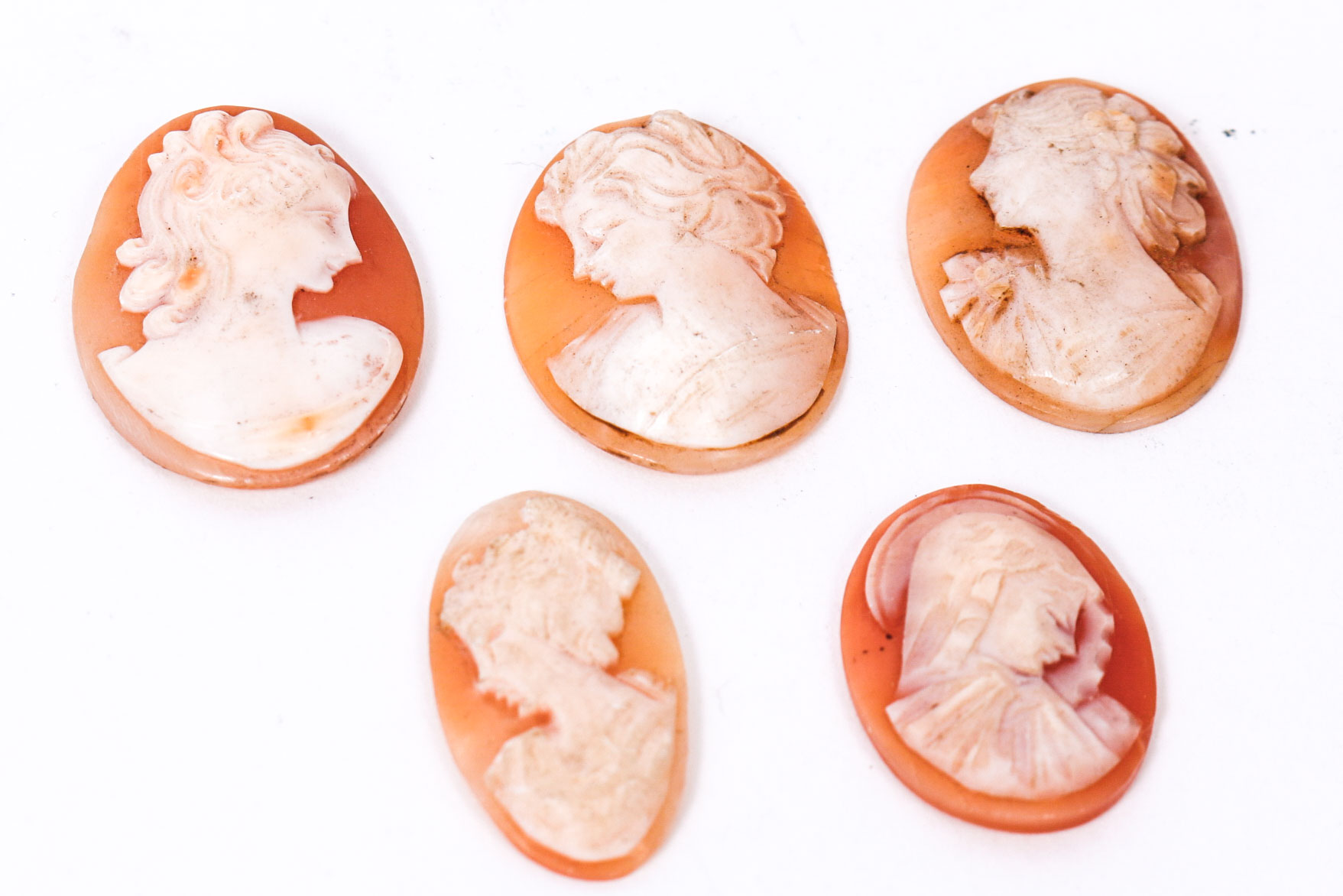 Group of Oval Shaped Shell Cameos