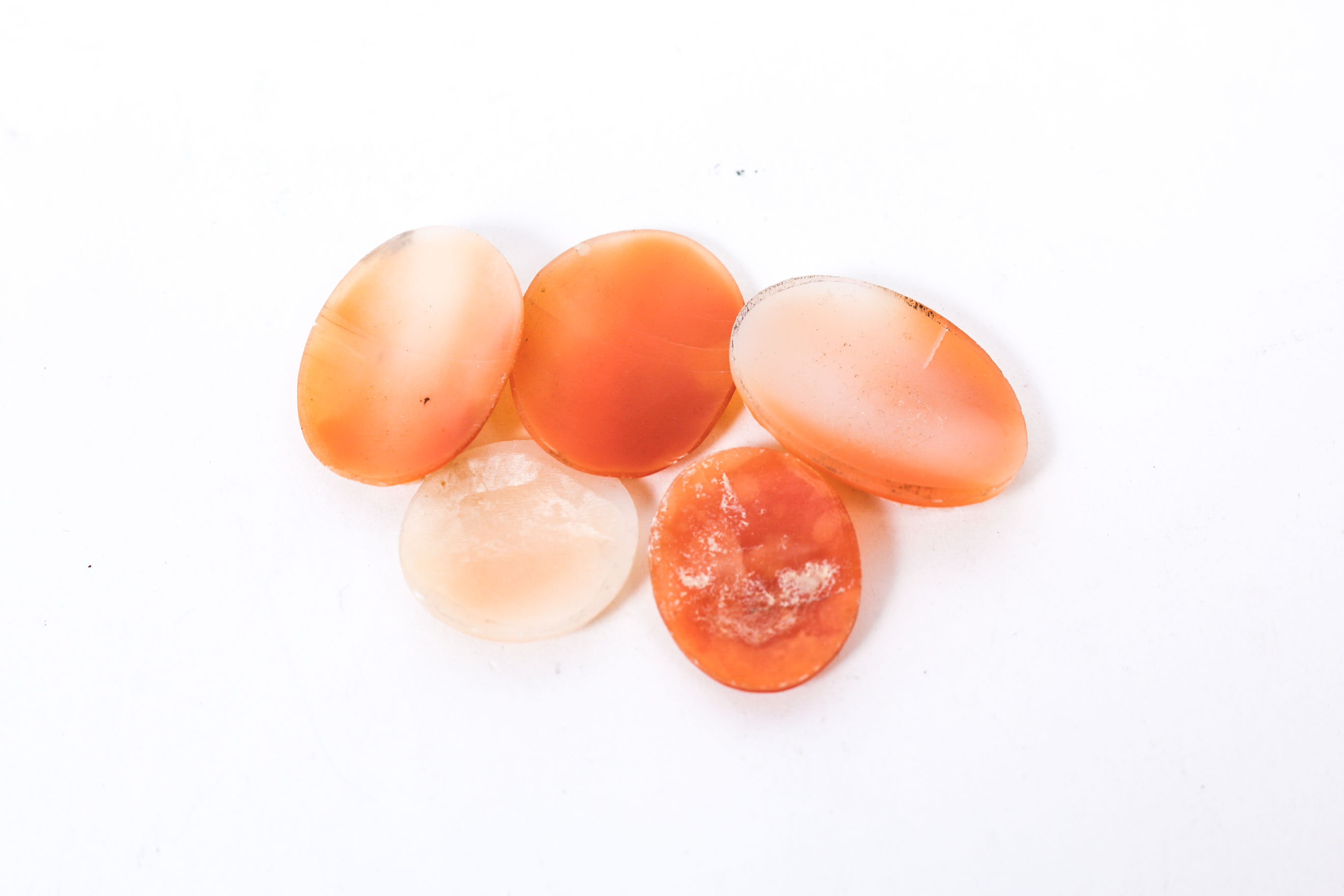 Group of Shell Cameos