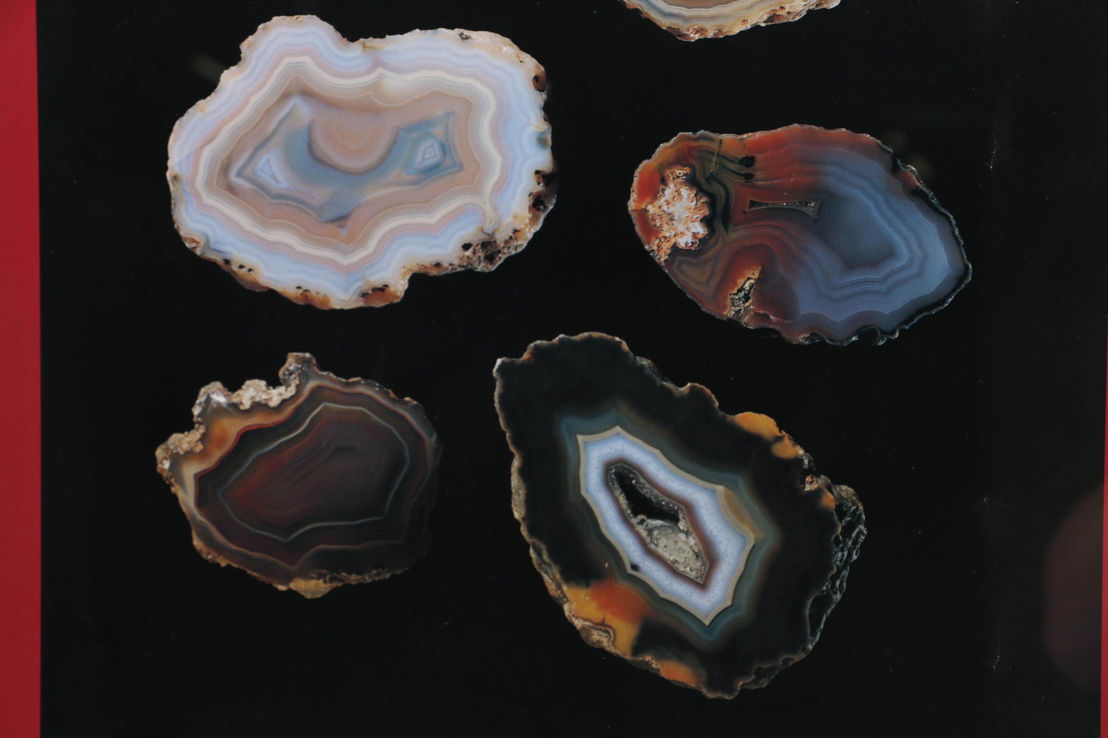 Framed Offset Lithograph "Condor Agate"