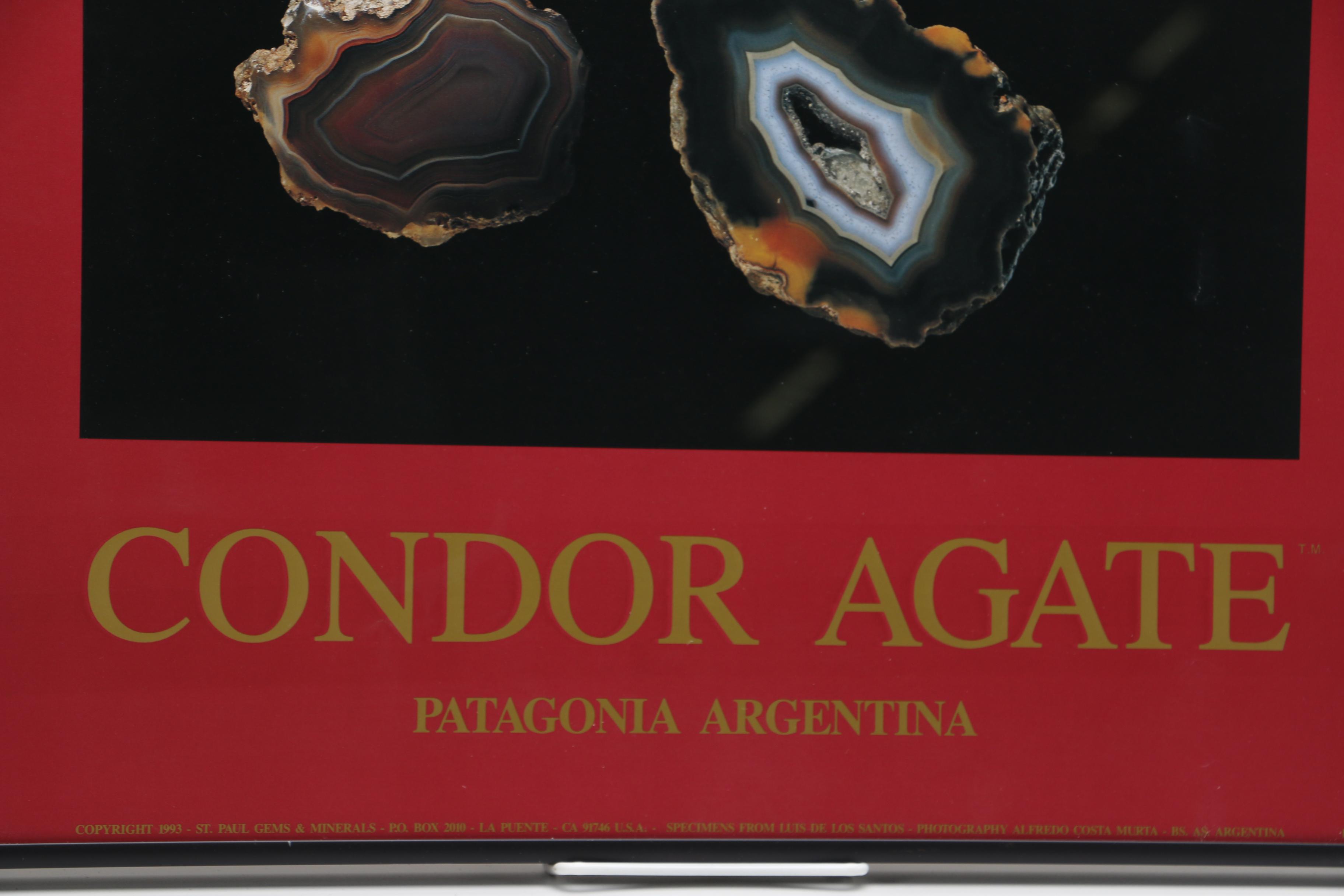 Framed Offset Lithograph "Condor Agate"