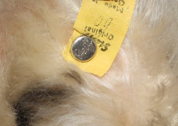 Vintage Steiff Tiger Wall Plaque and Teddy Bear