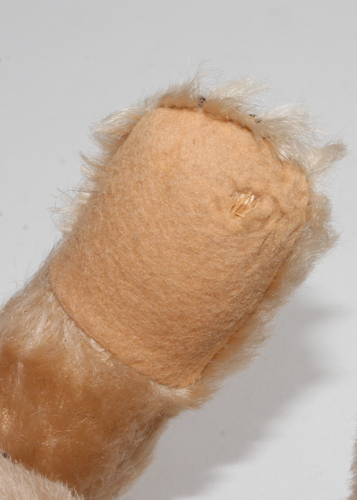 Vintage Steiff Tiger Wall Plaque and Teddy Bear