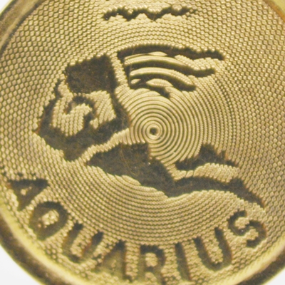 14K Yellow Gold Aquarius Charm