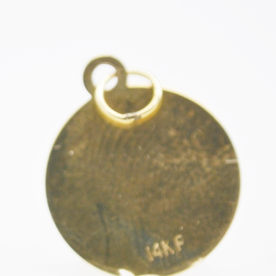 14K Yellow Gold Aquarius Charm