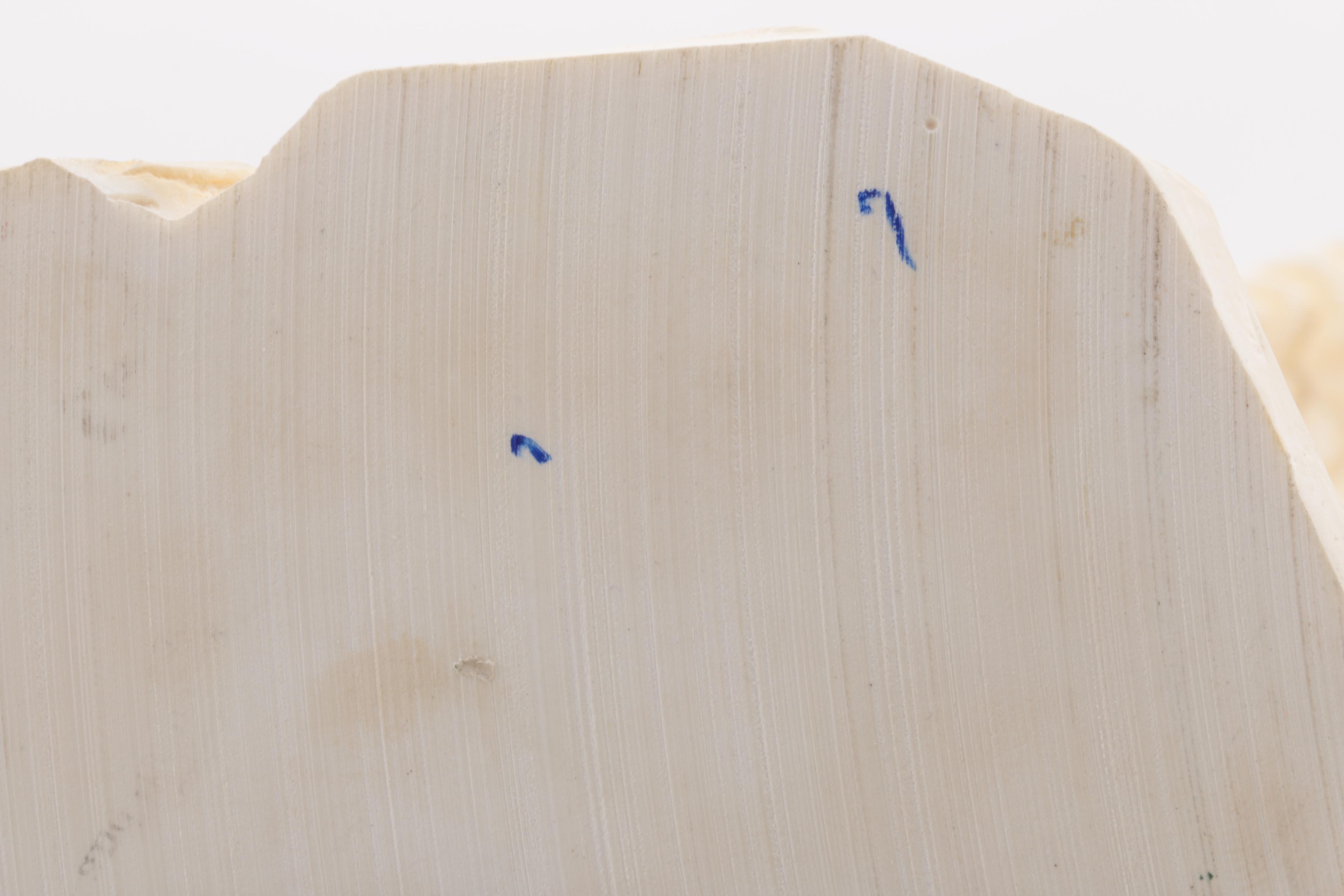 Giannelli Signed Bald Eagle Sculpture