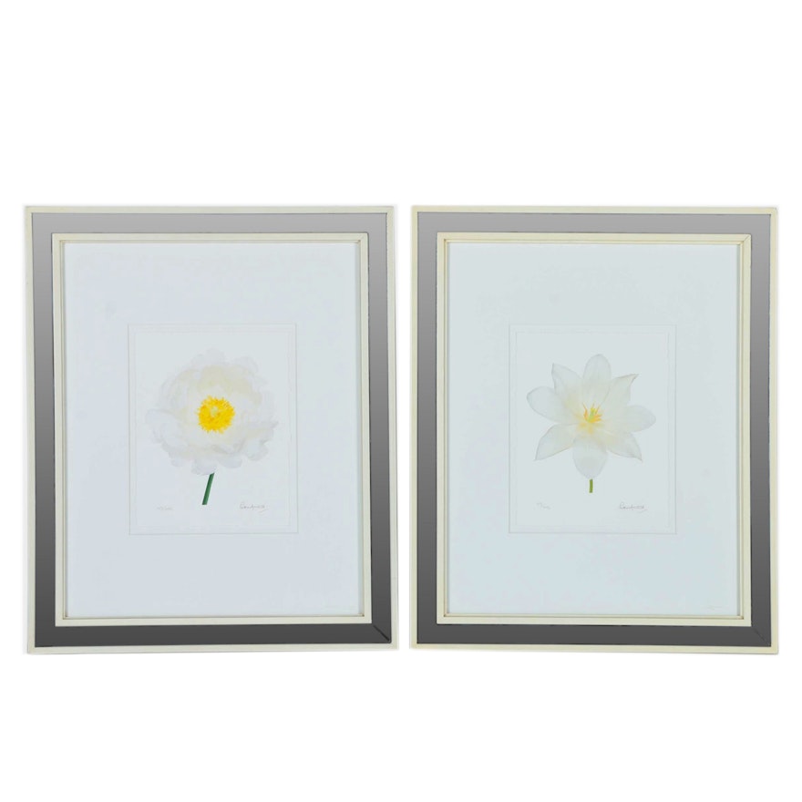 Peter Arnold Limited Edition Giclée Prints of White Flowers