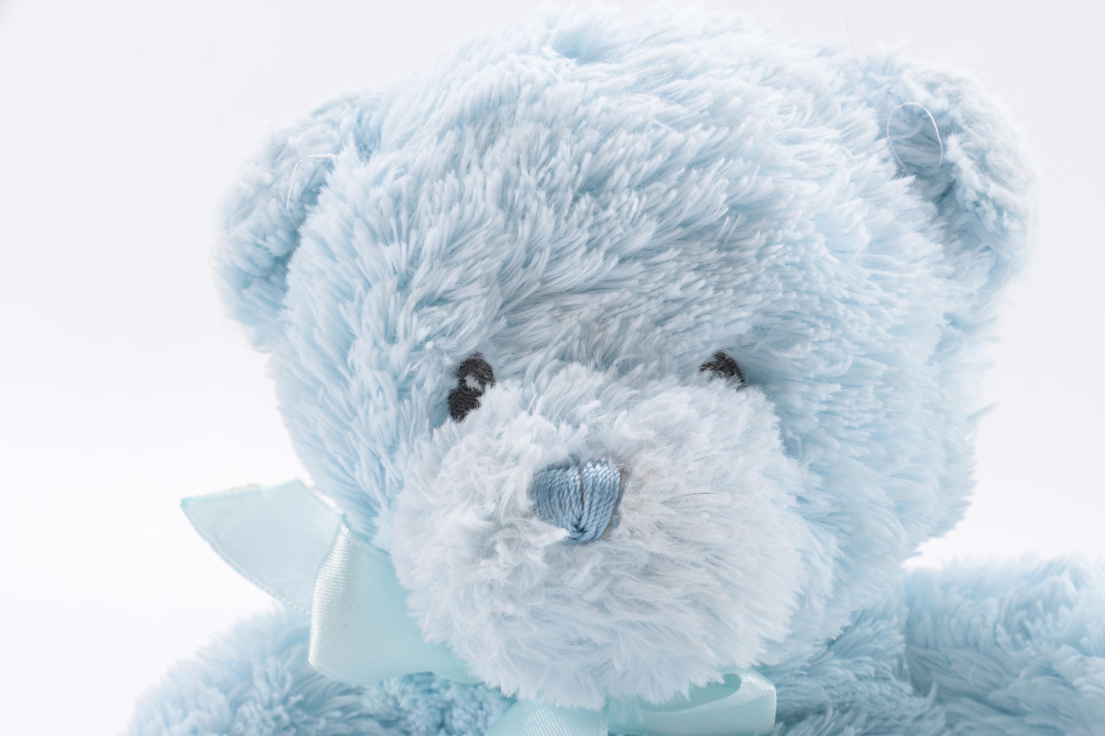 Gund Teddy Bears And Plush Bunny