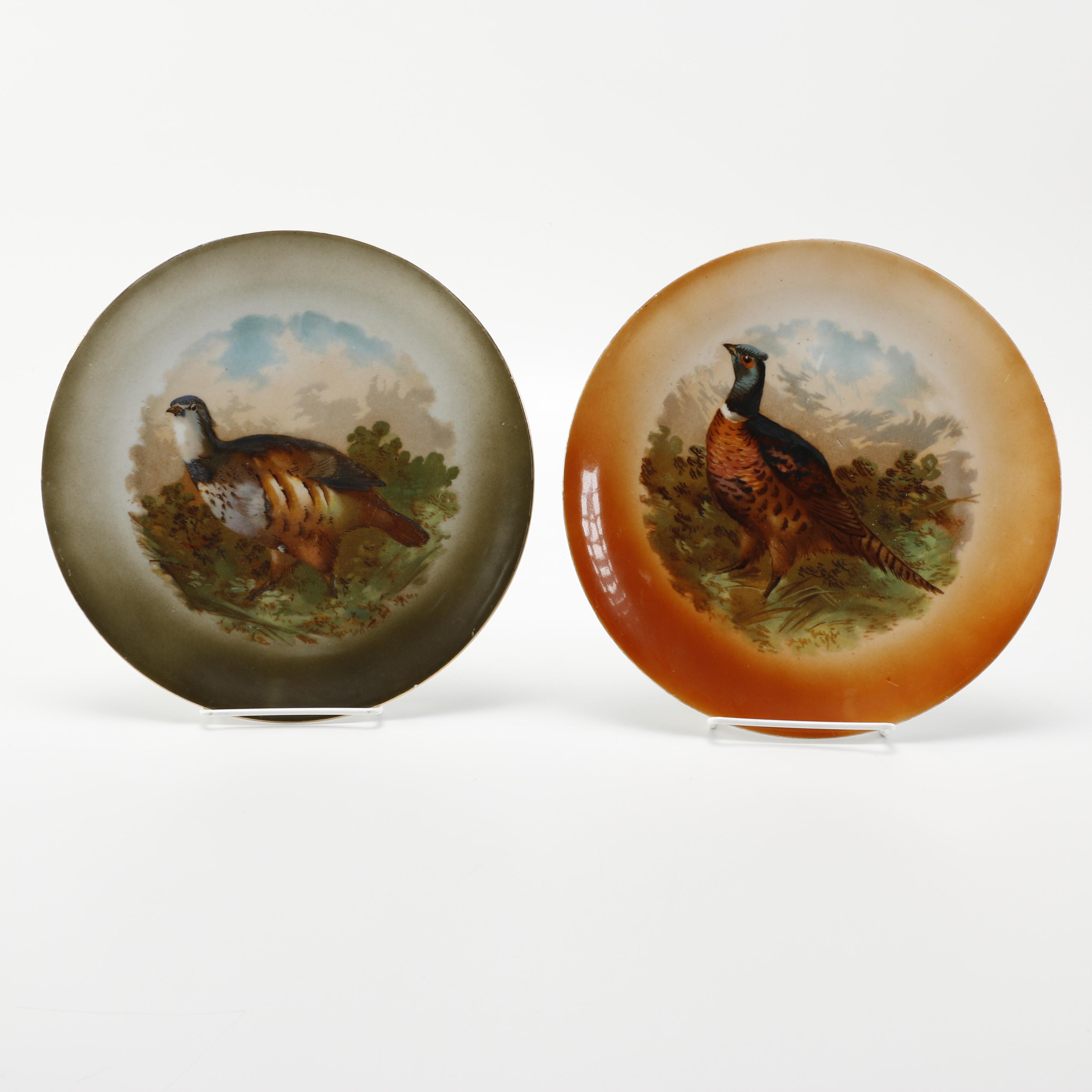 Vintage Bavarian China with Landfowl Designs