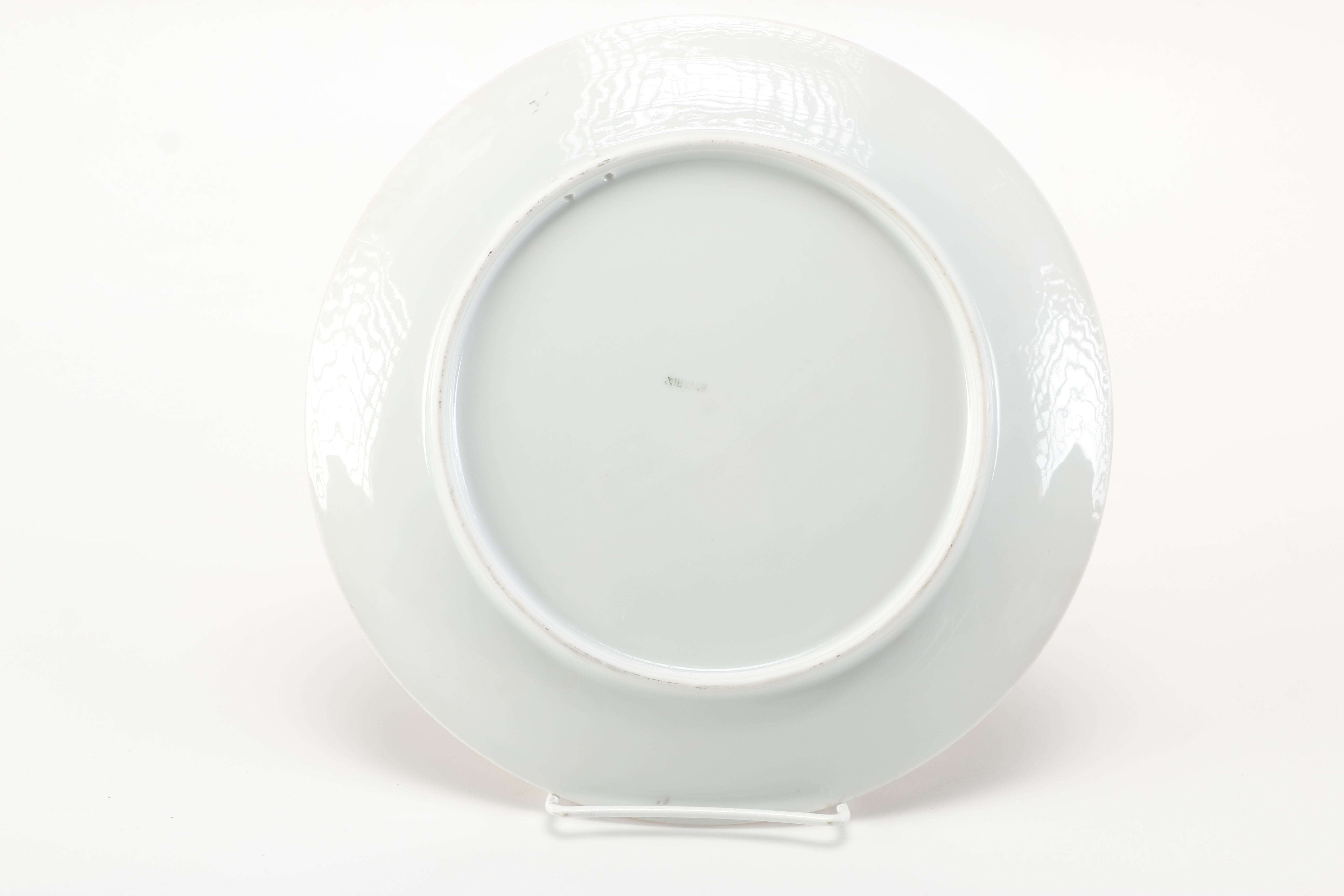 Vintage Bavarian China with Landfowl Designs