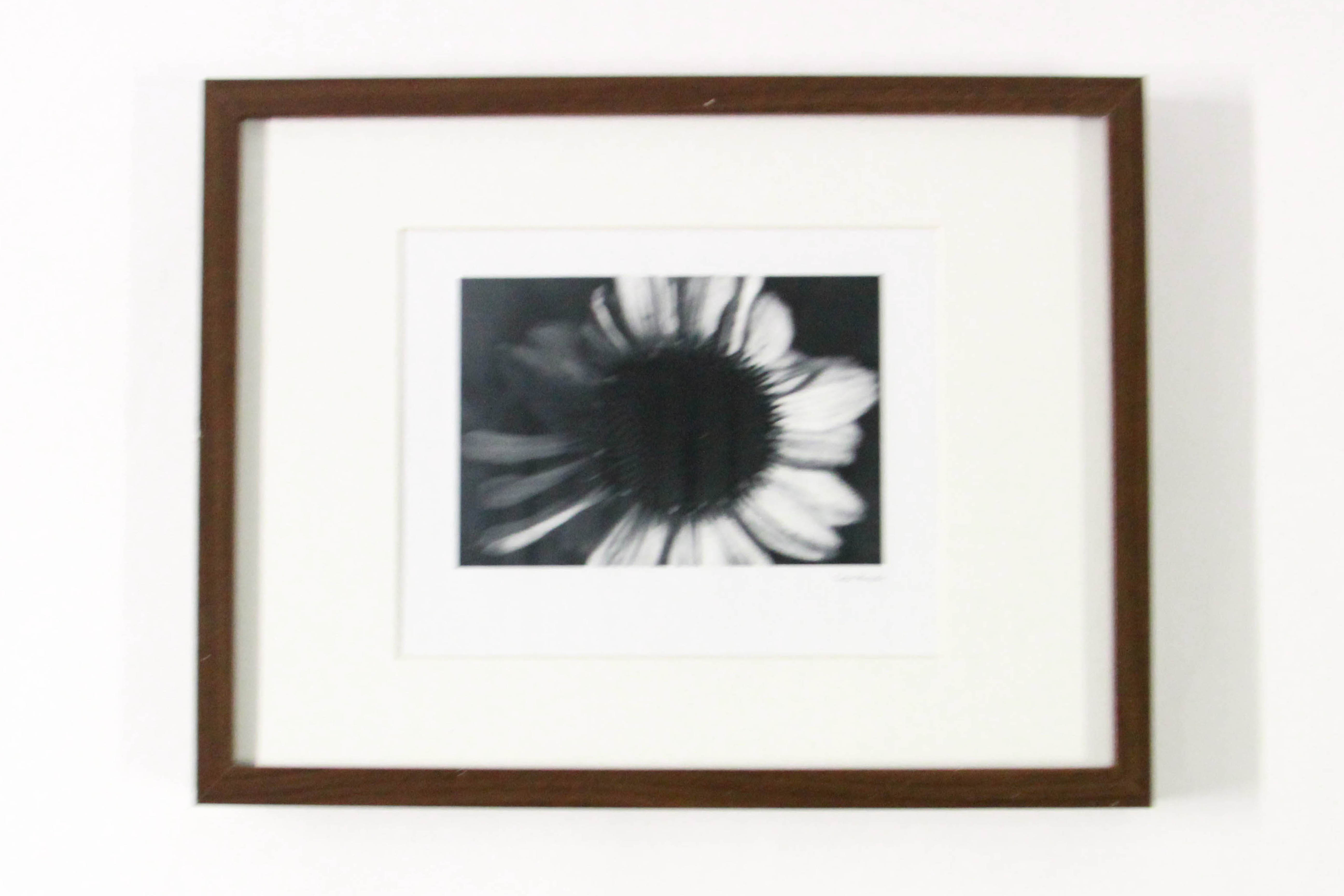 Collection of Framed Offset Lithographs