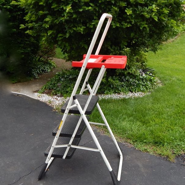 8' Gorilla Metal Ladder And Cosco Platform Ladder