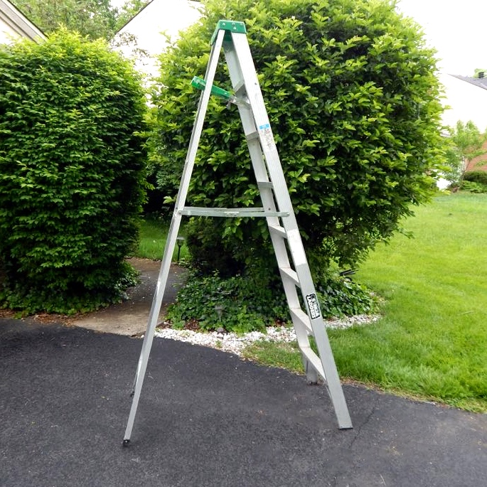 8' Gorilla Metal Ladder And Cosco Platform Ladder