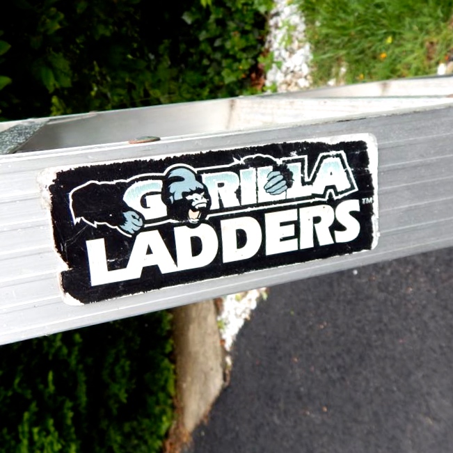 8' Gorilla Metal Ladder And Cosco Platform Ladder