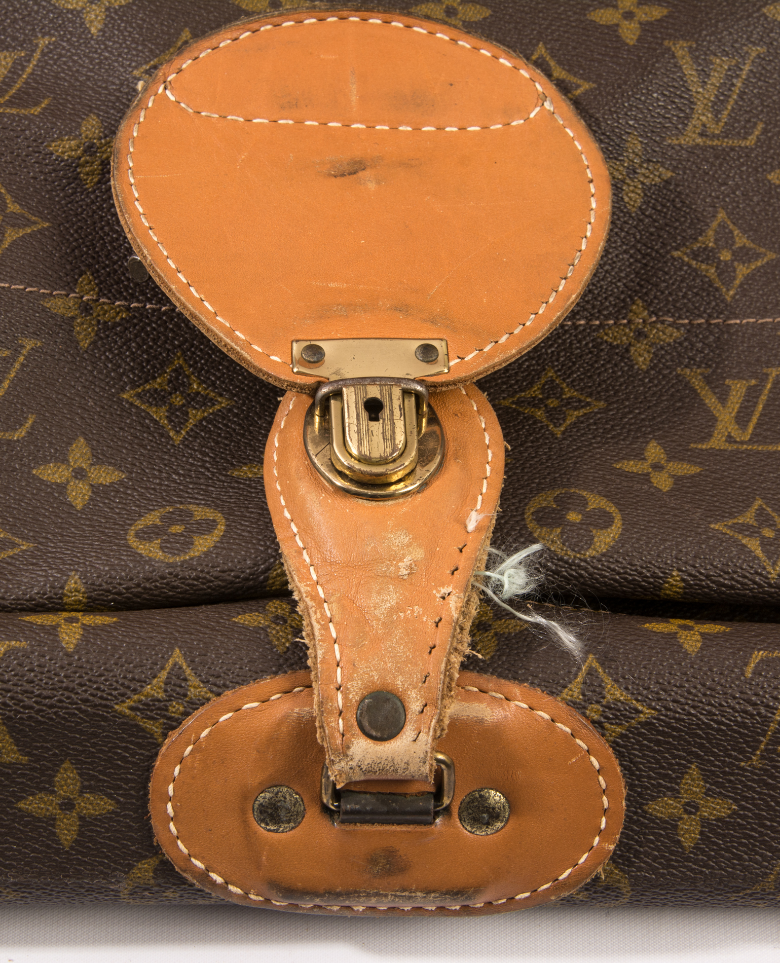 Vintage Louis Vuitton Garment Bag